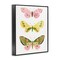 Stupell Industries Pastel Butterfly Trio Framed Giclee Wall Art Design by LSR Design Studio